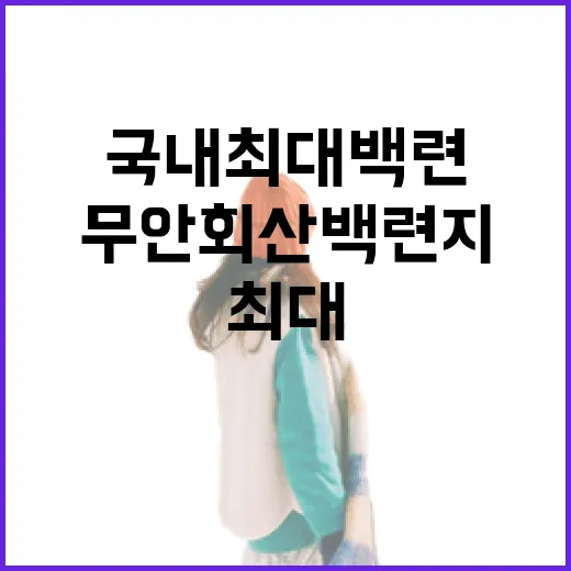 무안 회산백련지, 국내 최대 백련 군락지의 봄 풍경