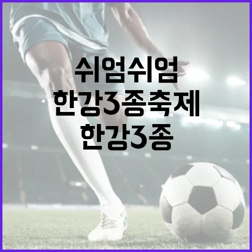 한강 3종 축제, 쉬엄쉬엄 즐기자!