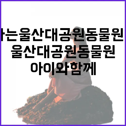 아이와 함께하는 울산대공원 동물원 나들이