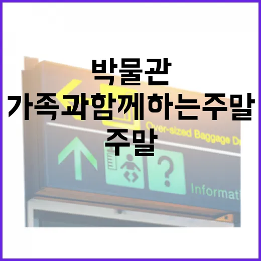 대전 박물관 5선, 가족과 함께하는 주말 나들이