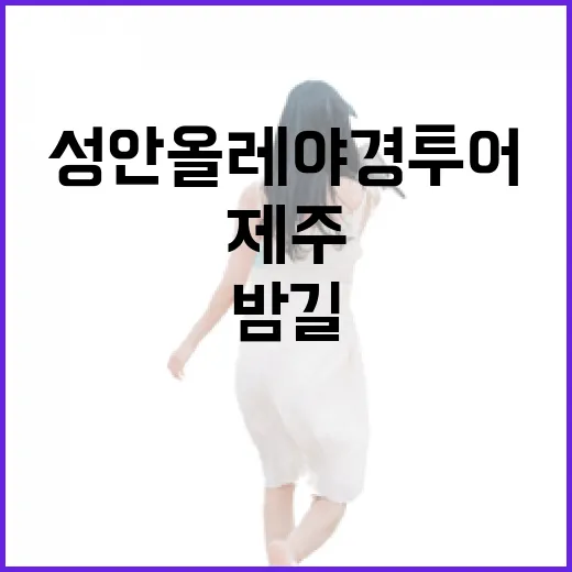 제주 성안올레 야경투어, 밤길 산책의 매력