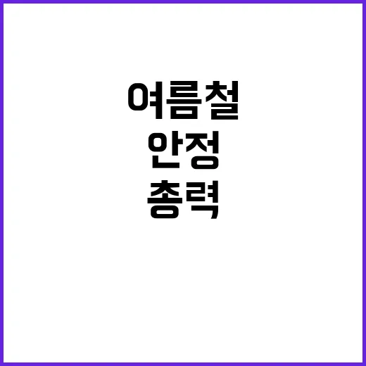 여름철 채소 수급 …