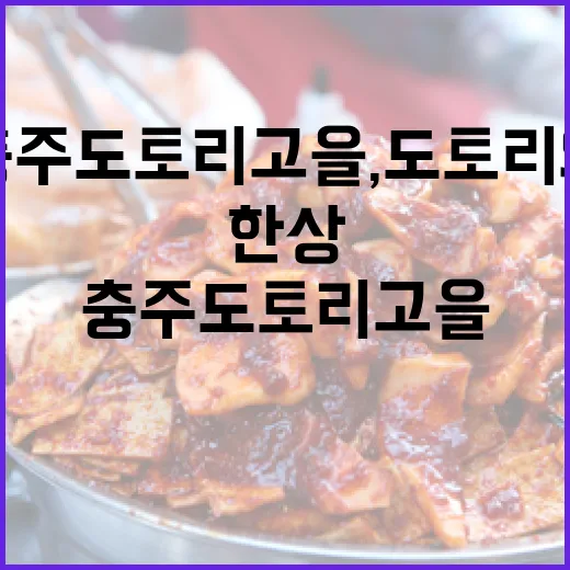 충주 도토리고을, 도토리의 진수 한 상