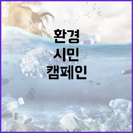 부산 해양환경 캠페인, 시민과 함께
