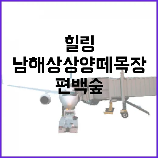 남해 상상양떼목장과 편백숲 힐링 산책