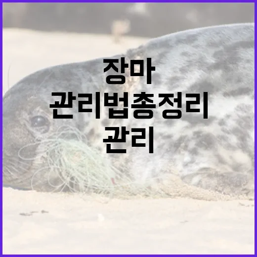 장마 대비 빗물받이 관리법 총정리