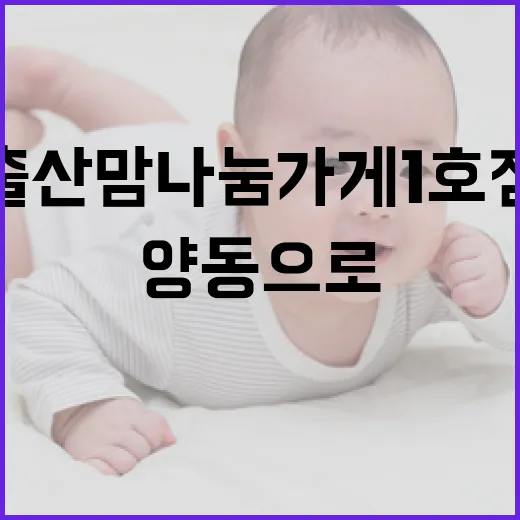 출산맘 나눔가게 1호점, 양동으로 새출발