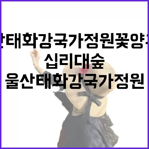 울산 태화강 국가정원 꽃양귀비와 십리대숲 산책길