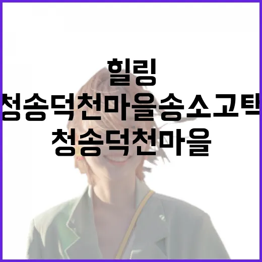 청송 덕천마을 송소고택에서 만나는 고요한 힐링