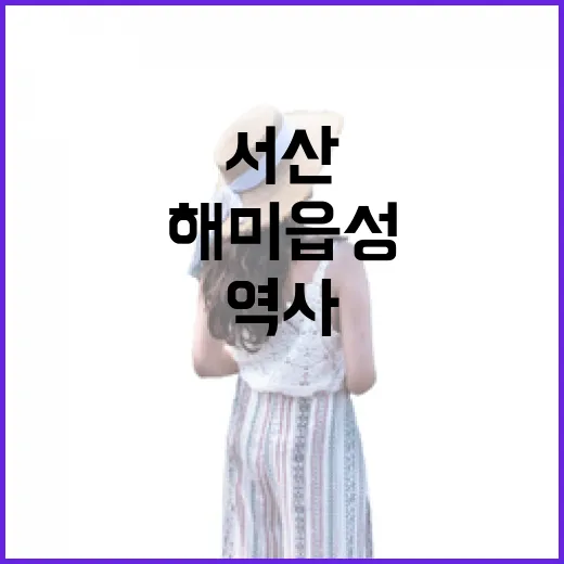 서산 해미읍성, 역사와 감성의 명소