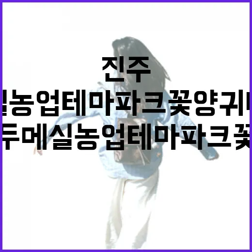 진주 두메실농업테마파크 꽃양귀비 산책
