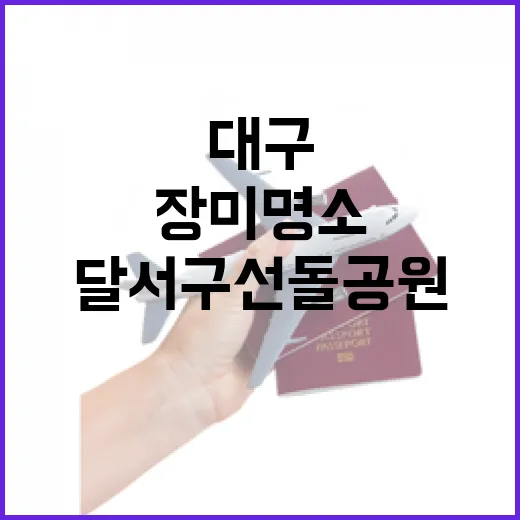 대구 달서구 선돌공원 장미 명소 탐방