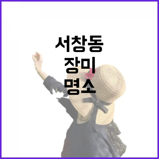 서창동 어울근린공원 장미와 물놀이 명소