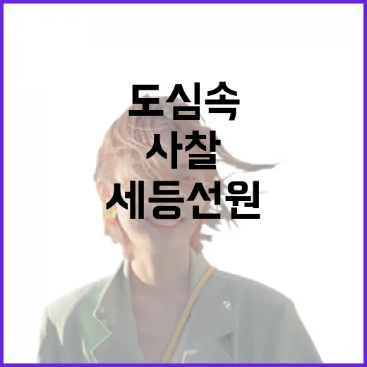 대전 도심 속 숨은 사찰 세등선원