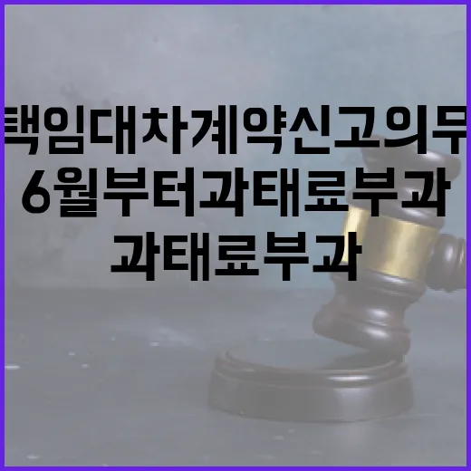 주택 임대차계약 신고 의무화, 6월부터 과태료 부과