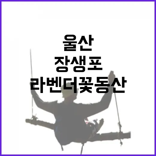 울산 장생포 라벤더 꽃동산의 봄 풍경