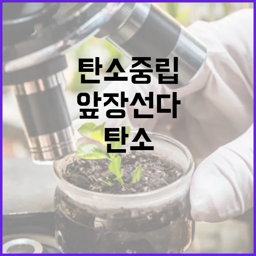 새빛 프로젝트, 탄소중립 실천 앞장선다