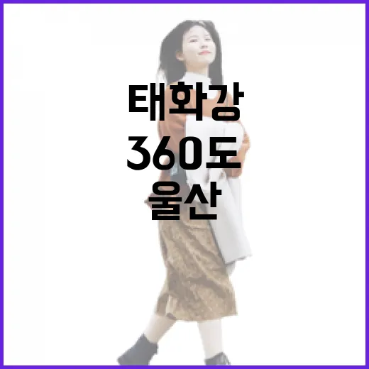 울산 태화강 360도 전망대 명소