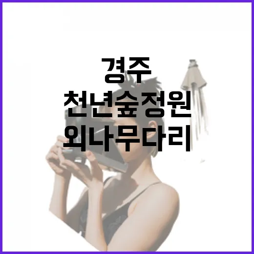 경주 천년숲정원 외나무다리 명소