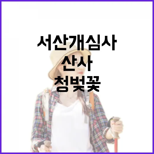 서산 개심사, 청벚꽃과 보물 대웅보전의 고요한 산사
