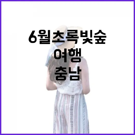 6월 초록빛 숲에서 만나는 충남 힐링 여행