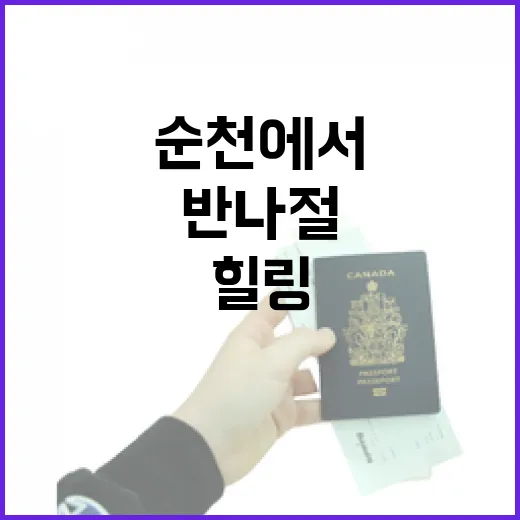 순천에서 만나는 특별한 반나절 정원 힐링