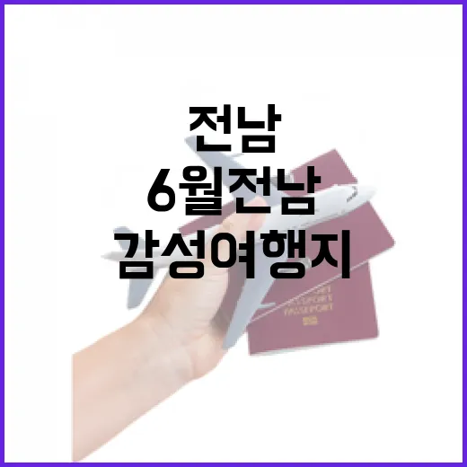 6월 전남 초록 감성 여행지 3선