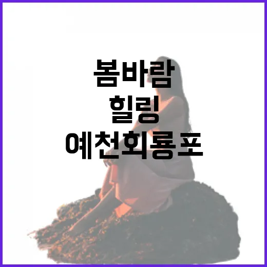 예천 회룡포, 봄바람 속 힐링 산책길