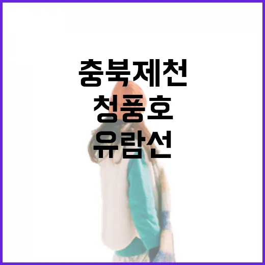 청풍호 유람선, 충북 제천의 자연을 품다