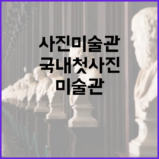서울 도봉구에 국내…