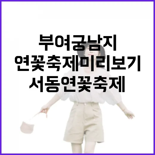 부여 궁남지 서동연꽃축제 미리보기