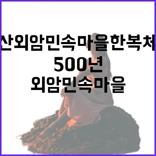 500년 전통 아산 외암민속마을 한복체험