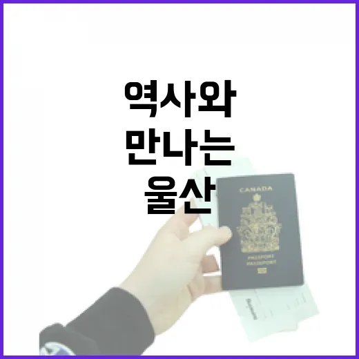 울산박물관에서 만나는 역사와 체험의 즐거움
