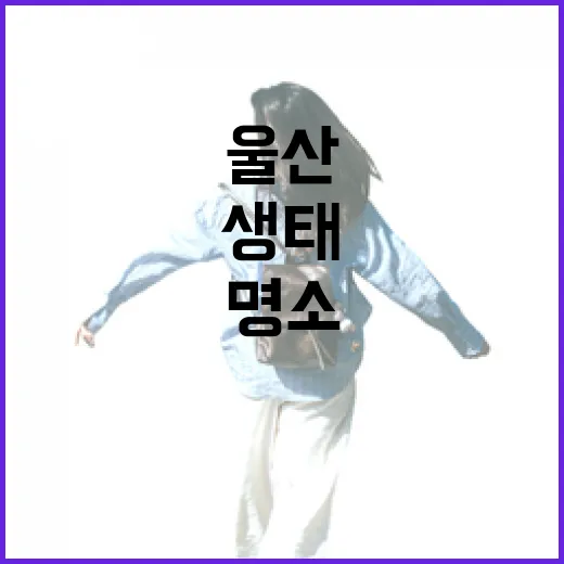 울산 태화강 철새홍보관 생태 체험 명소