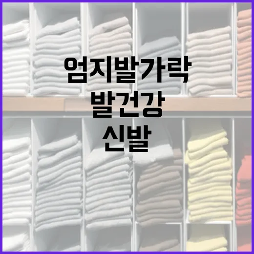 엄지발가락 분리 신발, 발 건강 혁신