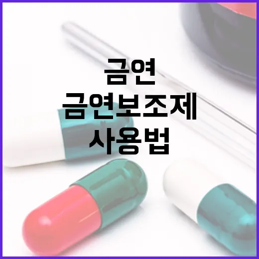 금연보조제 안전 사용법 집중 안내
