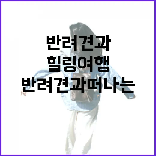 반려견과 떠나는 충남 힐링 여행