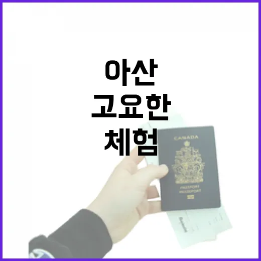 아산 현충사 차 예절 체험, 고요한 전통의 시간