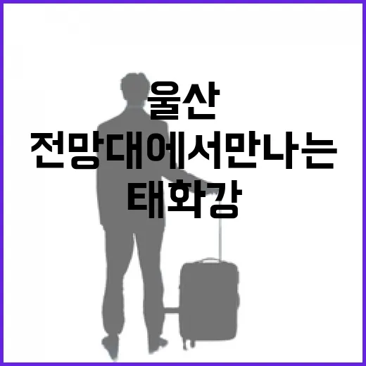 울산 태화강 전망대에서 만나는 자연과 도시의 조화