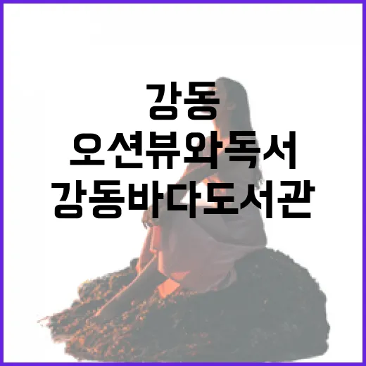 강동 바다도서관, 오션뷰와 독서의 만남