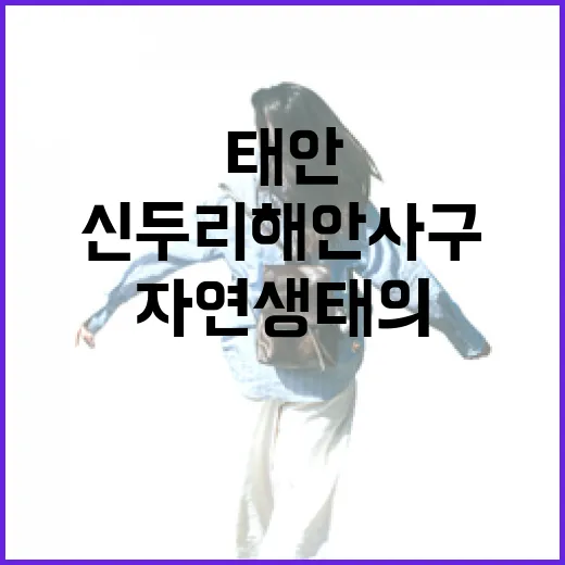 태안 신두리 해안사구, 자연 생태의 보고