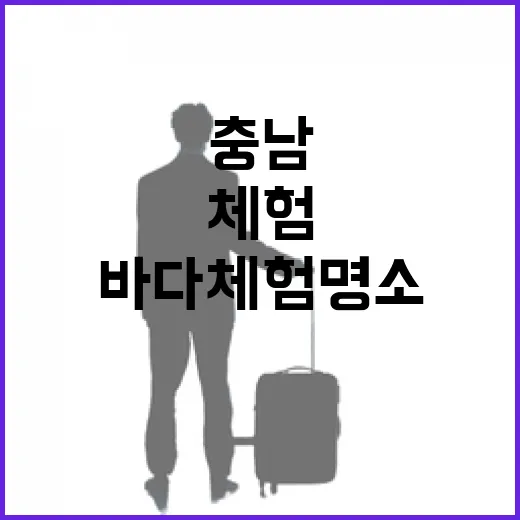 충남 바다 체험 명소 6선