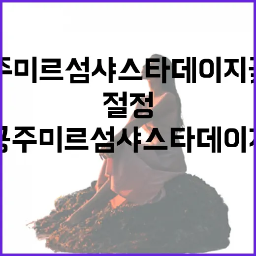 공주 미르섬 샤스타데이지 꽃길 절정 산책