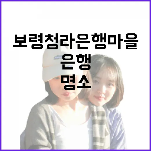 보령 청라 은행마을, 사계절 힐링 명소