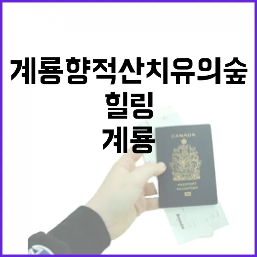 계룡 향적산 치유의 숲, 자연 속 힐링 명소