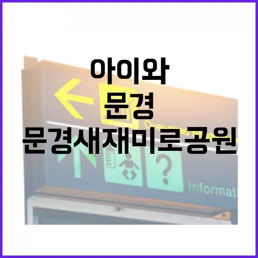 문경새재 미로공원, 아이와 함께하는 숲속 모험