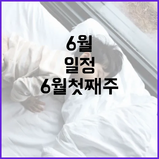 광주 6월 첫째 주 필수 문화·스포츠 일정