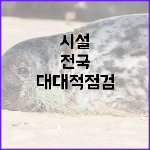 전국 물놀이형 수경시설 대대적 점검 착수