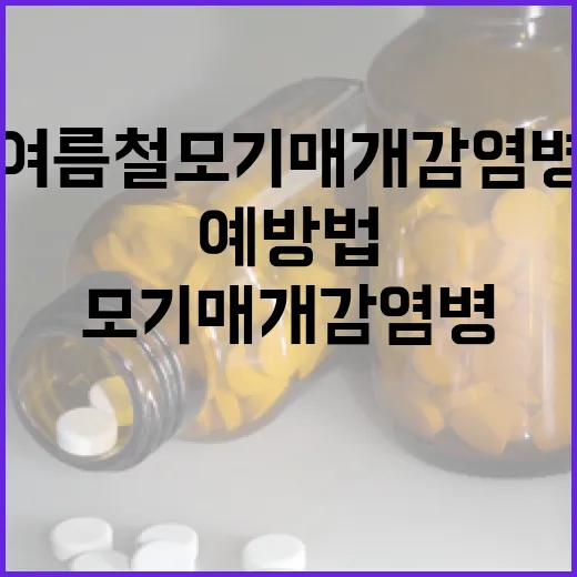 여름철 모기 매개 감염병 철저 예방법