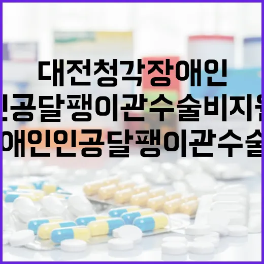 대전 청각장애인 인공달팽이관 수술비 지원